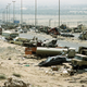 Illustration for article titled Iraqi Forces Were Annihilated While Retreating On 'The Highway Of Death' 25 Years Ago